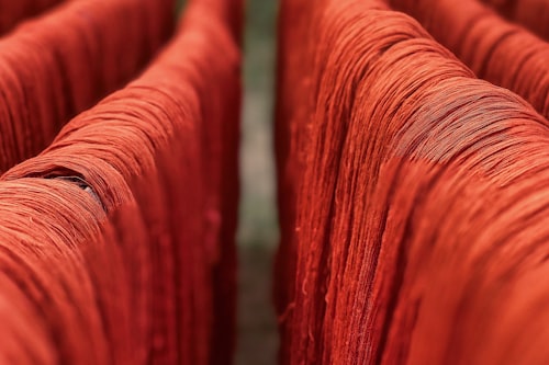 Natural Dye Red: Madder, Cochineal, and the Color That Built Empires