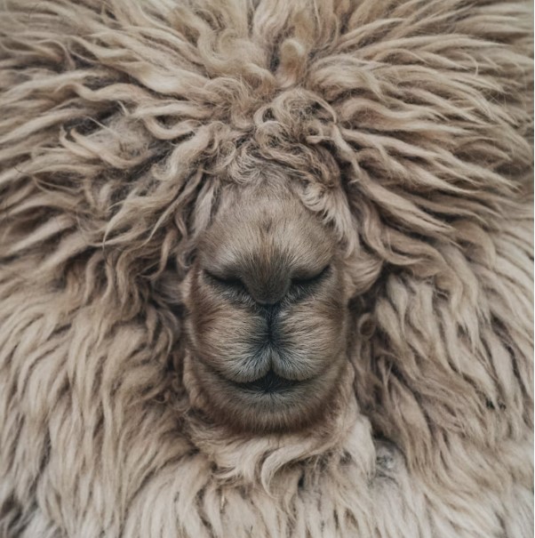 Spinning Wheel Tension: Why Your Yarn Won't Wind On (Or Won't Stop Winding On)